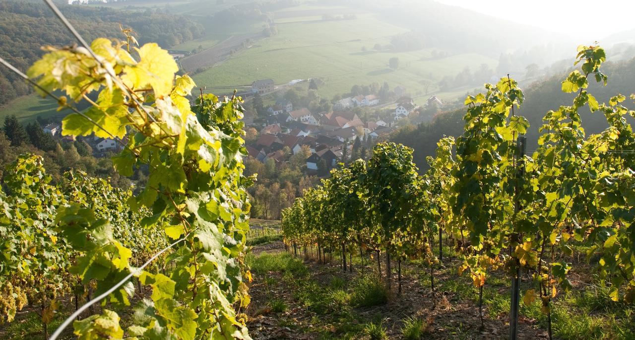 Weingut Hees - Landgasthof Zum Jaeger Aus Kurpfalz Auen Kültér fotó