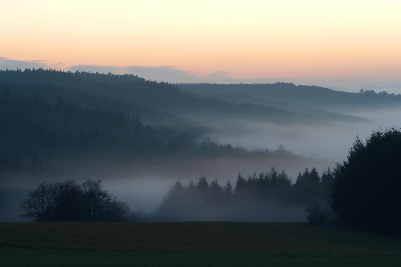 Weingut Hees - Landgasthof Zum Jaeger Aus Kurpfalz Auen Kültér fotó