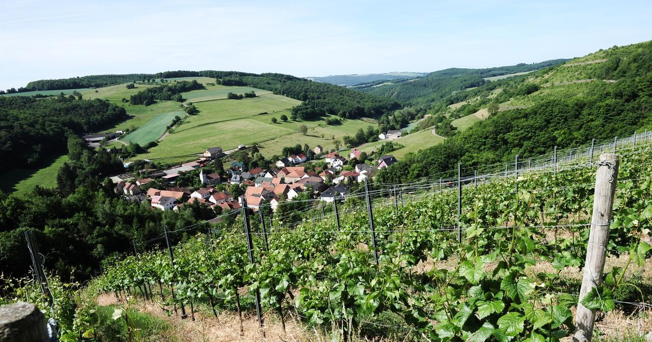 Weingut Hees - Landgasthof Zum Jaeger Aus Kurpfalz Auen Kültér fotó