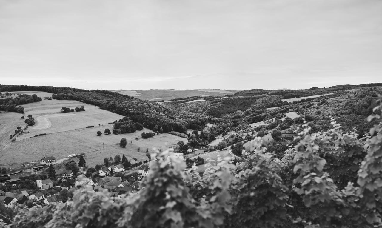Weingut Hees - Landgasthof Zum Jaeger Aus Kurpfalz Auen Kültér fotó